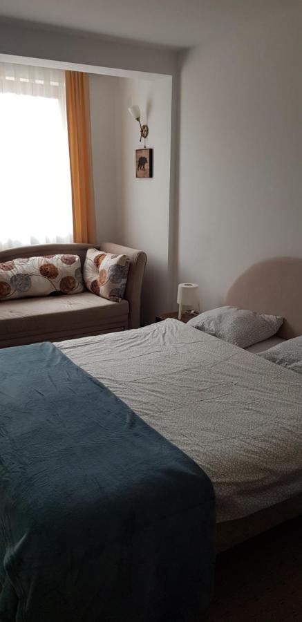 Dobricin Konak, Apartman 202 Kopaonik Exteriér fotografie
