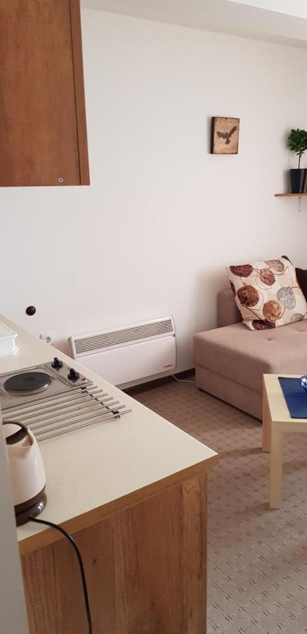 Dobricin Konak, Apartman 202 Kopaonik Exteriér fotografie
